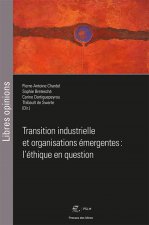 Transition industrielle et organisations émergentes : l'éthique en question