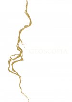 Charlotte Charbonnel. Geoscopia