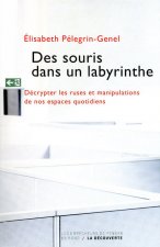 Des souris dans un labyrinthe