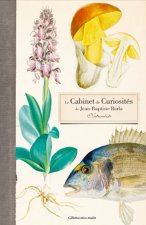 Le Cabinet de Curiosités d'un naturaliste du XIXe siècle, Jean-Baptiste Barla