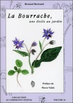 La Bourrache - Une étoile au jardin - Vol. 14