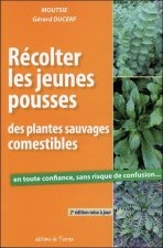 Récolter les jeunes pousses des plantes sauvages comestibles
