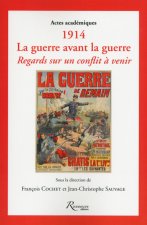 1914 - La guerre avant la guerre. Regards sur un conflit à venir