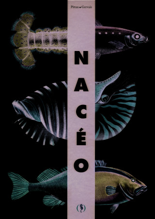 Nacéo