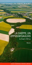 La Cheppe, Un Oppidum Gaulois