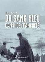 DU SANG BLEU DANS LES TRANCHEES