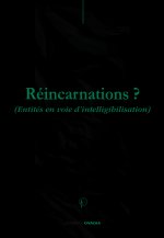 REINCARNATION? Entités en voie d'intelligibilisation