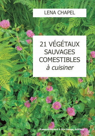 21 végétaux sauvages comestibles à cuisiner - L451