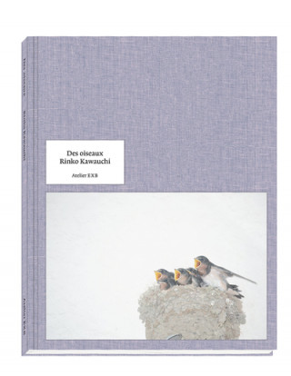 Des oiseaux Rinko Kawauchi - version anglaise