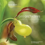 LES ORCHIDEES SAUVAGES DES CAUSSES ET CEVENNES