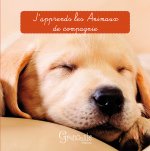Les animaux de compagnie