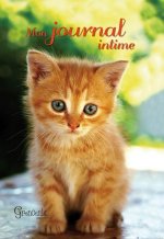 MON JOURNAL INTIME CHAT