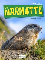 La Marmotte - Nouvelle Edition