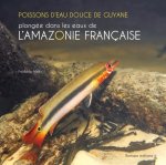POISSONS D'EAU DOUCE DE GUYANE - PLONGEE DANS LES EAUX DE L'AMAZONIE FRANCAISE