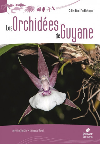 Les Orchidées de Guyane