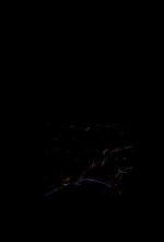 HYMNE A LA CREATION