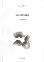 Lisianthus
