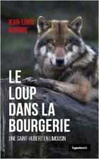 Le loup dans la bourgerie - une Saint-Hubert en Limousin