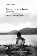 Comme une pierre dans un labyrinthe - parcours d'un autiste Asperger