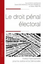Le droit pénal électoral