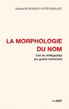 La morphologie du nom