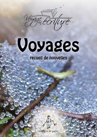 Voyages