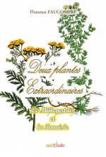 DEUX PLANTES EXTRAORDINAIRES. LE MILLEPERTUIS ET LA TANAISIE