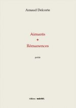 Aimants + Rémanences