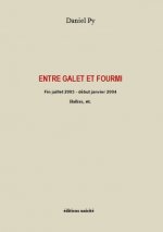 Entre galet et fourmi