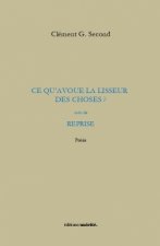 Ce qu'avoue la lisseur des choses ?