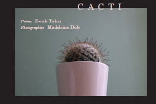 Cacti
