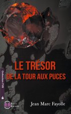 Le trésor de la tour aux puces
