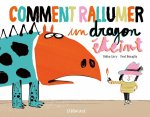 Comment rallumer un dragon eteint