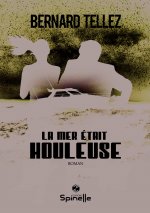 La mer était houleuse