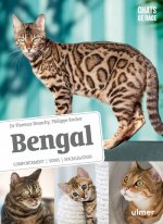 Bengal - Comportement, soins, sociabilisation