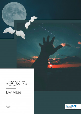 « BOX 7 »