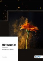 Décalage(s)