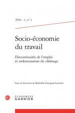 Socio-économie du travail