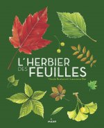 L'herbier des feuilles