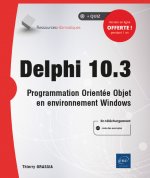 DELPHI - PROGRAMMATION ORIENTEE OBJET EN ENVIRONNEMENT WINDOWS