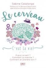 Le Cerveau - C'est la vie