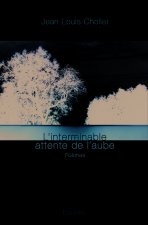 L'interminable attente de l'aube