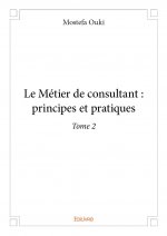 Le métier de consultant : principes et pratiques –
