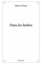 Dans les limbes