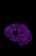 Le cerveau imité en machines pensantes