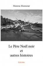 Le père noël noir et autres histoires