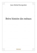 Brève histoire des métaux