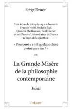Une leçon de métaphysique  adressée à francis wolff, frédéric nef, quentin meillassoux, paul clavier et aux presses universitaires de france au sujet