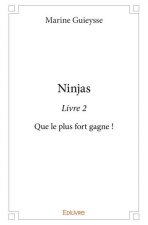 Ninjas - livre 2