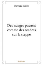 Des nuages passent comme des ombres sur la steppe